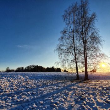 Genießen Sie den Winter- in den kommenden Tagen wird es turbulenter zur Sache gehen