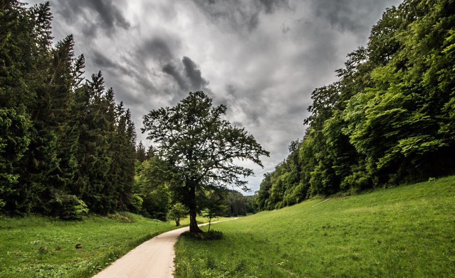 Zahlreiche Schauer und Gewitter - Der Juni wird unwetterartig