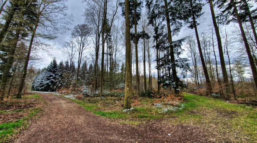 Nasskaltes Wetter mit Schnee- und Graupelschauern vor Ostern?