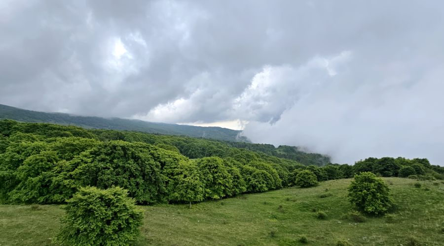 Unbeständiges, windiges und vergleichsweise kühles Wetter im Mai
