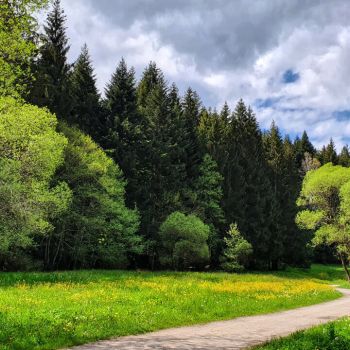 Schwül-warmes und zu Unwettern neigendes Wetter über Deutschland