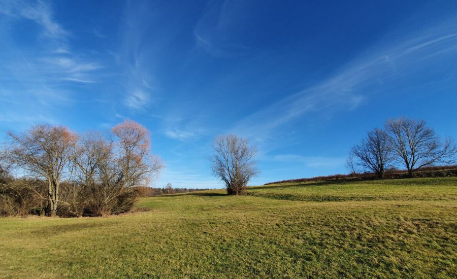 Im Januar rekordverdächtige Temperaturen