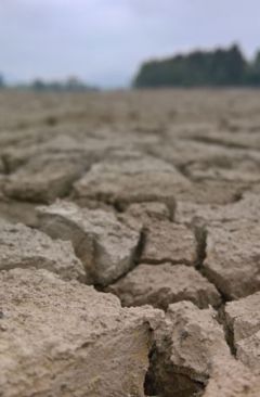 Wetter Juli 2018 - Daten und Fakten