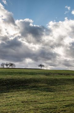 Wetter März 2019 - Daten und Fakten