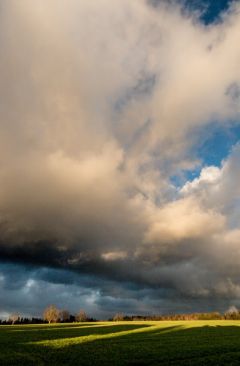 Wetter Dezember 2019 - Daten und Fakten