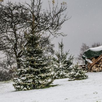 Weiße Weihnachten sind über der Südhälfte von Deutschland möglich