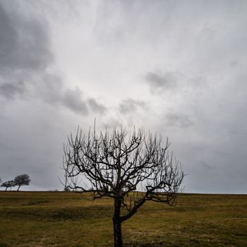 Turbulentes und abwechslungsreiches Februar-Wetter