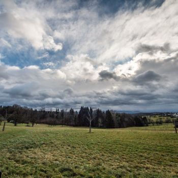 Setzt sich das ungewöhnlich warme Wetter im Januar fort?