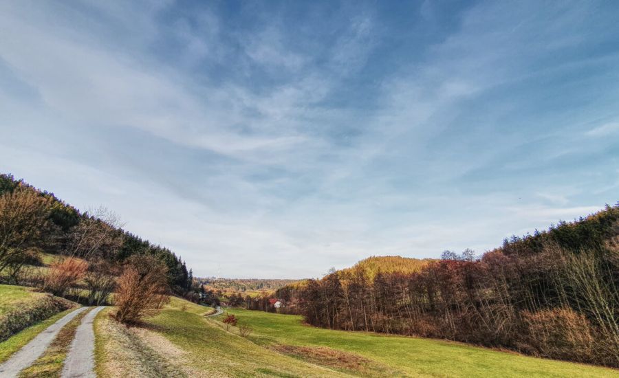 Der Frühling im März?