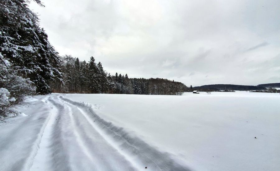 Welchen Weg schlägt der Winter im Februar ein?