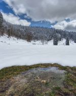 Zusammenbruch des Polarwirbels - sind spätwinterliche Wettererscheinungen noch einmal möglich?