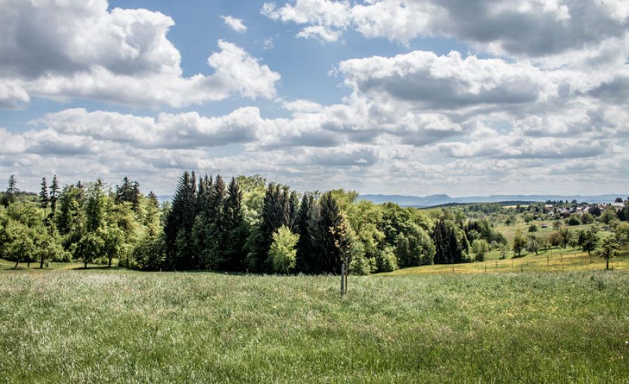 Sonne, Wolken und ein paar Schauer