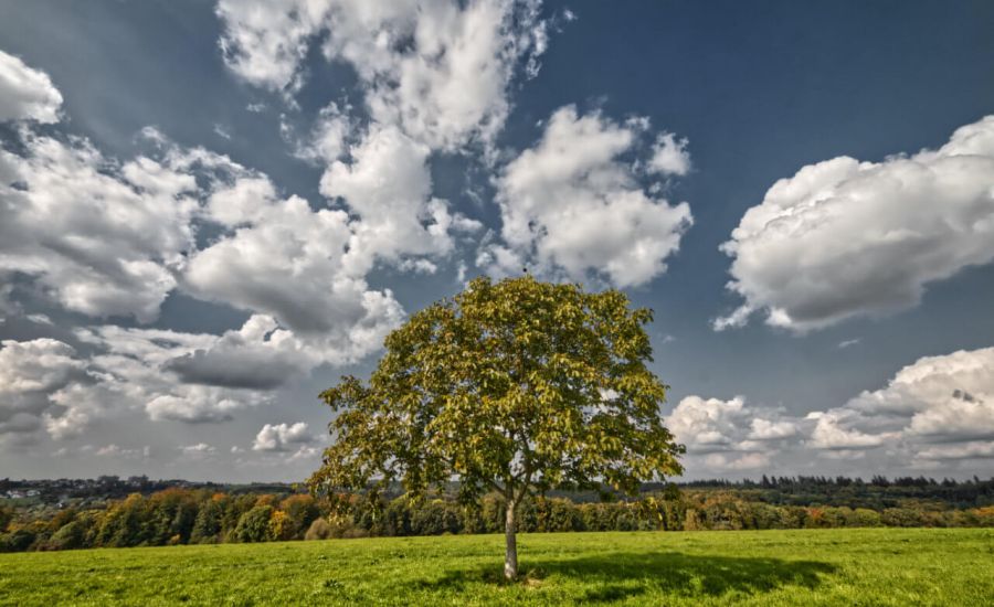 Normalisiert sich das Wetter zum Start in den meteorologischen Herbst?