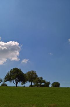 Wetter Juli 2016 - Daten und Fakten