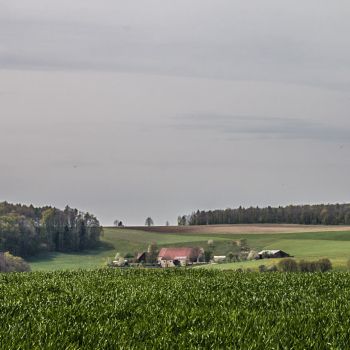 Nach einem sommerlichen Start in den Mai die nächste Abkühlung?