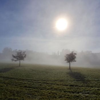 Sonne, Wolken und Nebel - ein Hoch setzt sich über Deutschland durch