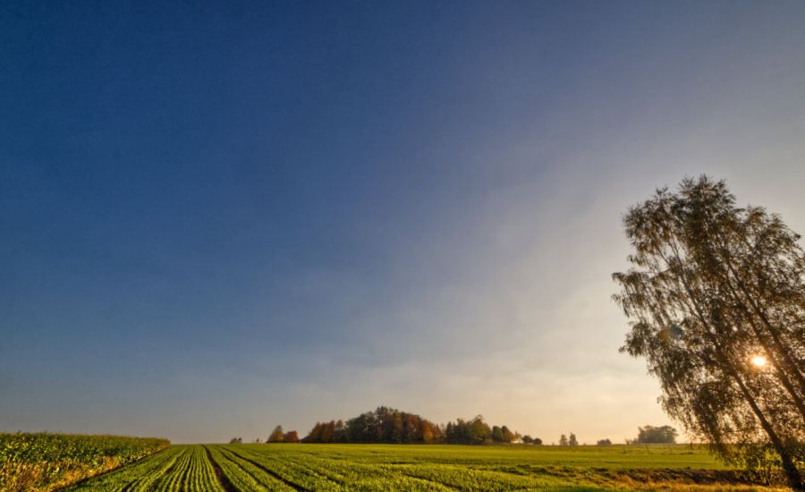Zum Wochenende nach Nebelauflösung viel Sonnenschein