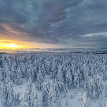 Polarwirbelsplit, Arctic Outbreak, Hochwinter oder doch eine Milderung? © Martin Bloch